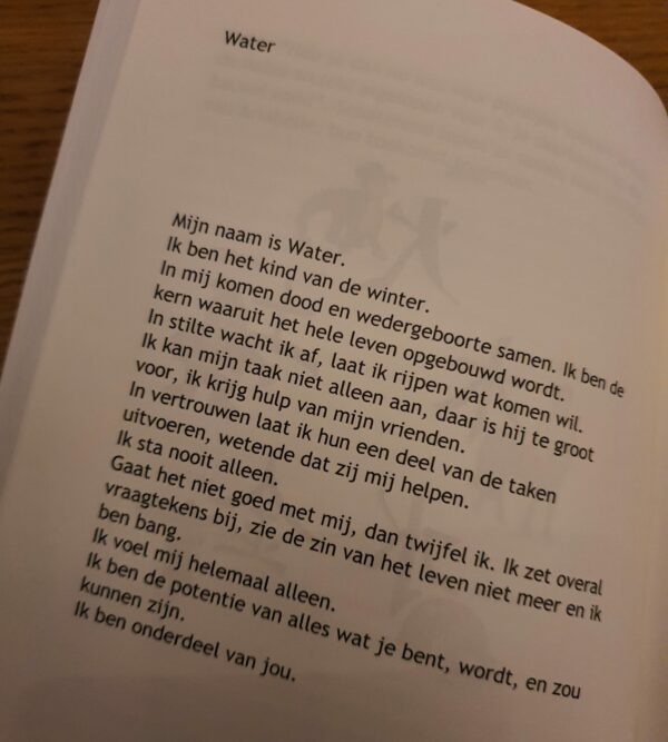 Boek Magisch TCM - Afbeelding 3