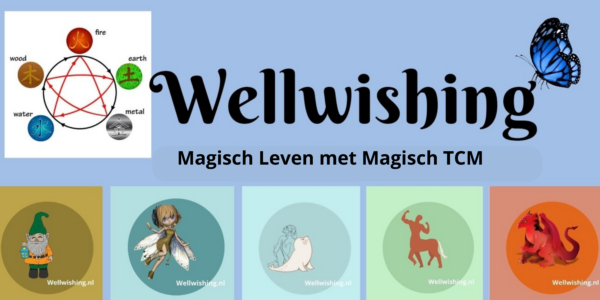 WellWishings Magisch TCM deel 2 Het element Aarde in twee lessen